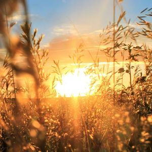 Meet your Posher, Makenzie